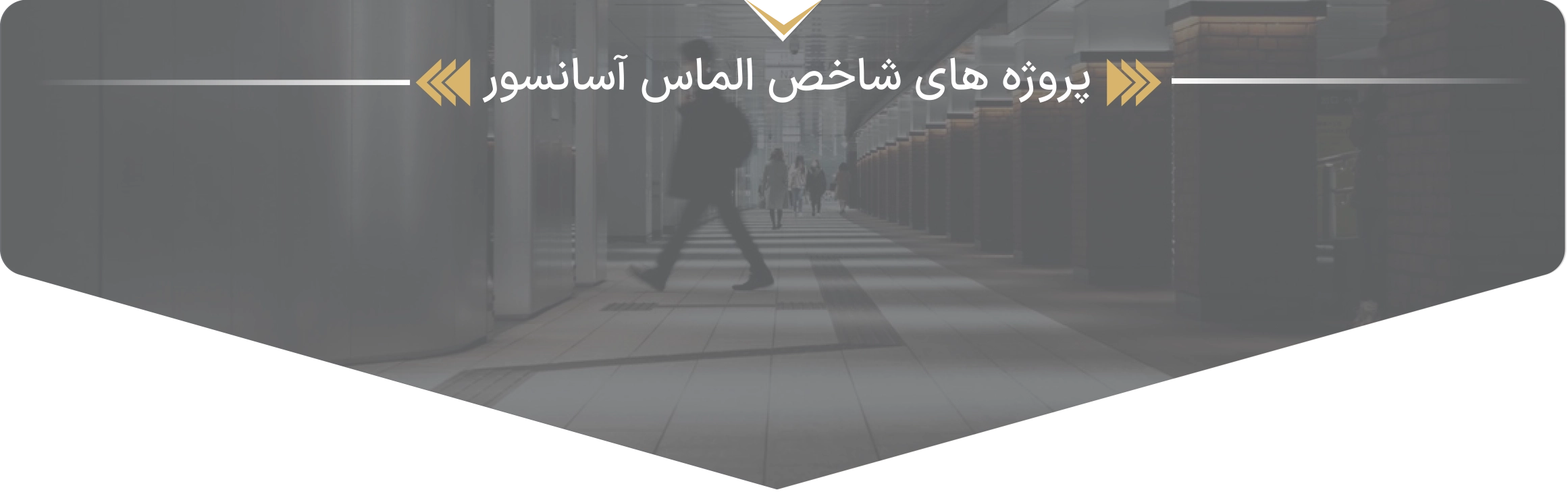 پروژه های الماس آسانسور