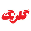 پروژه آسانسور شرکت گلرنگ